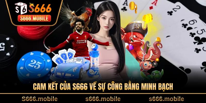 Cam kết của S666 về sự công bằng minh bạch